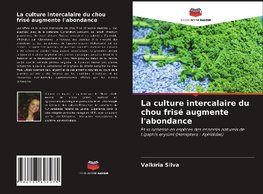 La culture intercalaire du chou frisé augmente l'abondance