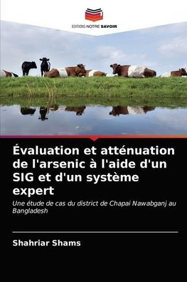 Évaluation et atténuation de l'arsenic à l'aide d'un SIG et d'un système expert