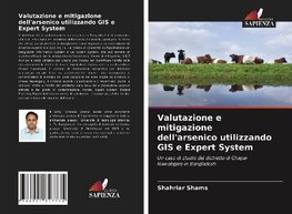 Valutazione e mitigazione dell'arsenico utilizzando GIS e Expert System