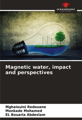 Magnetic water, impact and perspectives