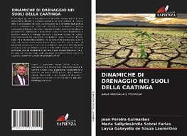 DINAMICHE DI DRENAGGIO NEI SUOLI DELLA CAATINGA