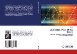 Macroeconomics of Big Crises