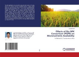 Effects of Bio NPK Consortium (PGPR) on Micronutrients Availability
