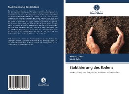 Stabilisierung des Bodens