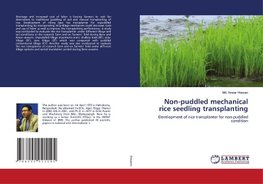 Non-puddled mechanical rice seedling transplanting