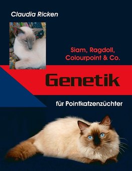Genetik für Pointkatzenzüchter
