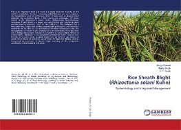 Rice Sheath Blight (Rhizoctonia solani Kuhn)