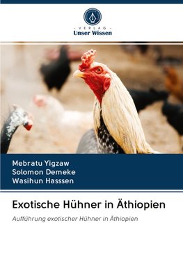 Exotische Hühner in Äthiopien