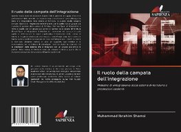 Il ruolo della campata dell'integrazione