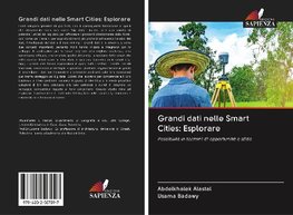 Grandi dati nelle Smart Cities: Esplorare