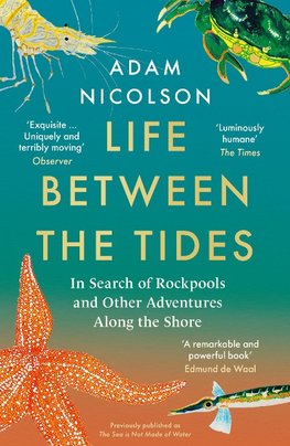 LIFE BETWEEN TIDES PB