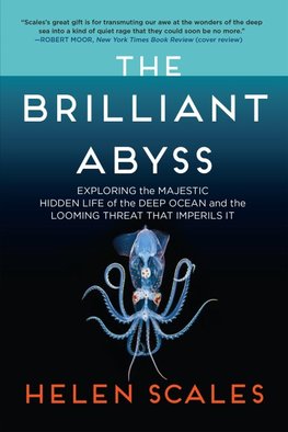 The Brilliant Abyss