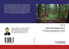 Soft Soil Stabilization
