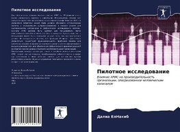 Pilotnoe issledowanie