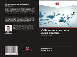 Cellules souches de la pulpe dentaire