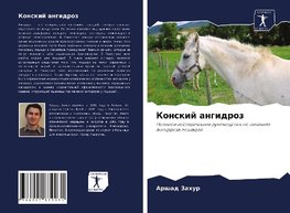Konskij angidroz