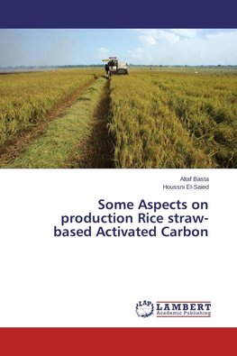 Some Aspects on production Rice straw-based Activated Carbon