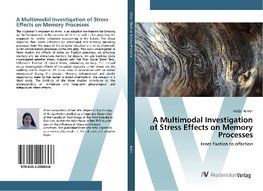 A Multimodal Investigation of Stress Effects on Memory Processes