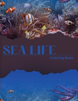 Sea Life Coloring Book