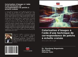 Colorisation d'images à l'aide d'une technique de correspondance de patchs à échelle croisée