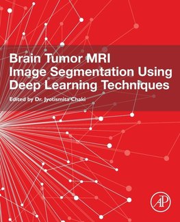 Brain Tumor MRI Image Segmentation Using Deep Learning Techniques
