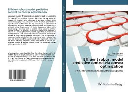 Efficient robust model predictive control via convex optimization