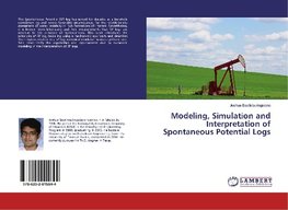 Modeling, Simulation and Interpretation of Spontaneous Potential Logs