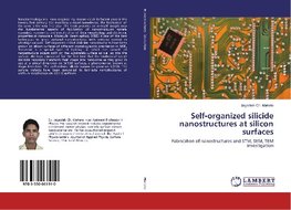 Self-organized silicide nanostructures at silicon surfaces