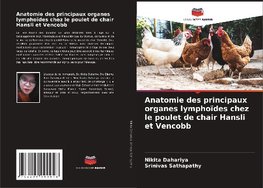 Anatomie des principaux organes lymphoïdes chez le poulet de chair Hansli et Vencobb