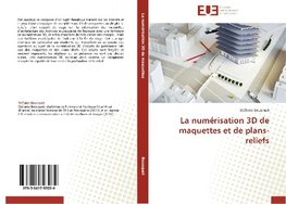 La numérisation 3D de maquettes et de plans-reliefs