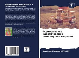 Formirowanie identichnosti w literature o migracii