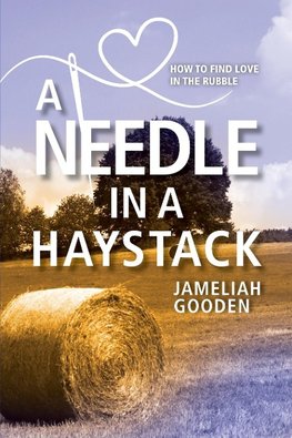 A Needle in a Haystack