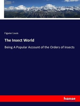 The Insect World