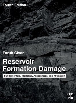Reservoir Formation Damage