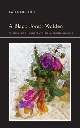 A Black Forest Walden
