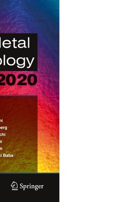 Rare Metal Technology 2020