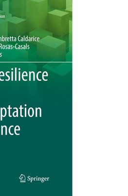 Urban Resilience for Risk and Adaptation Governance
