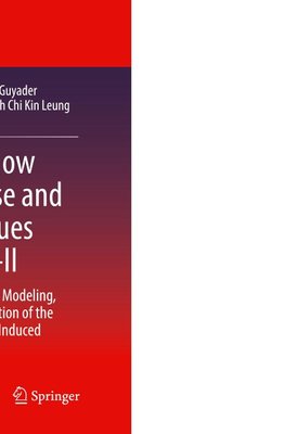 Flinovia-Flow Induced Noise and Vibration Issues and Aspects-II