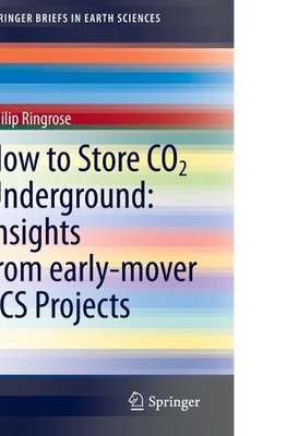 How to Store CO2 Underground: Insights from early-mover CCS Projects
