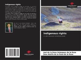 Indigenous rights