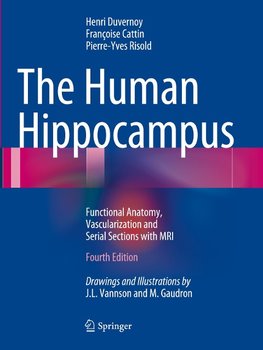 The Human Hippocampus