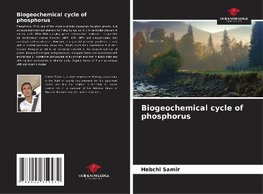 Biogeochemical cycle of phosphorus