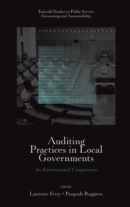 Auditing Practices in Local Governments