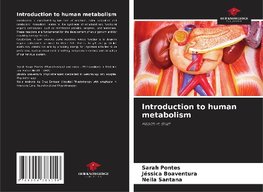 Introduction to human metabolism
