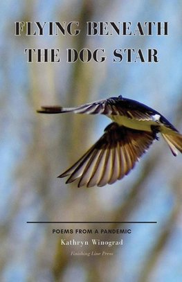 Flying Beneath the Dog Star