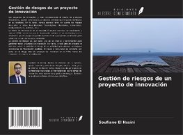 Gestión de riesgos de un proyecto de innovación