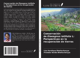 Conservación de Elaeagnus latifolia L: Perspectivas en la recuperación de tierras