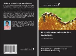 Historia evolutiva de las colmenas