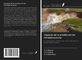 Impacto de la erosión en las infraestructuras
