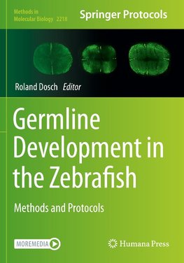 Germline Development in the Zebrafish